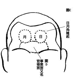 額闊|額頭紋分析 